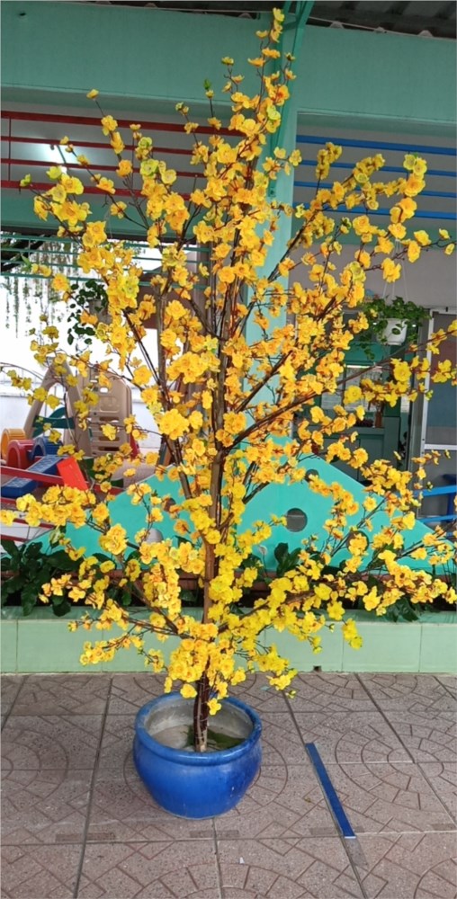 Ảnh đại diện